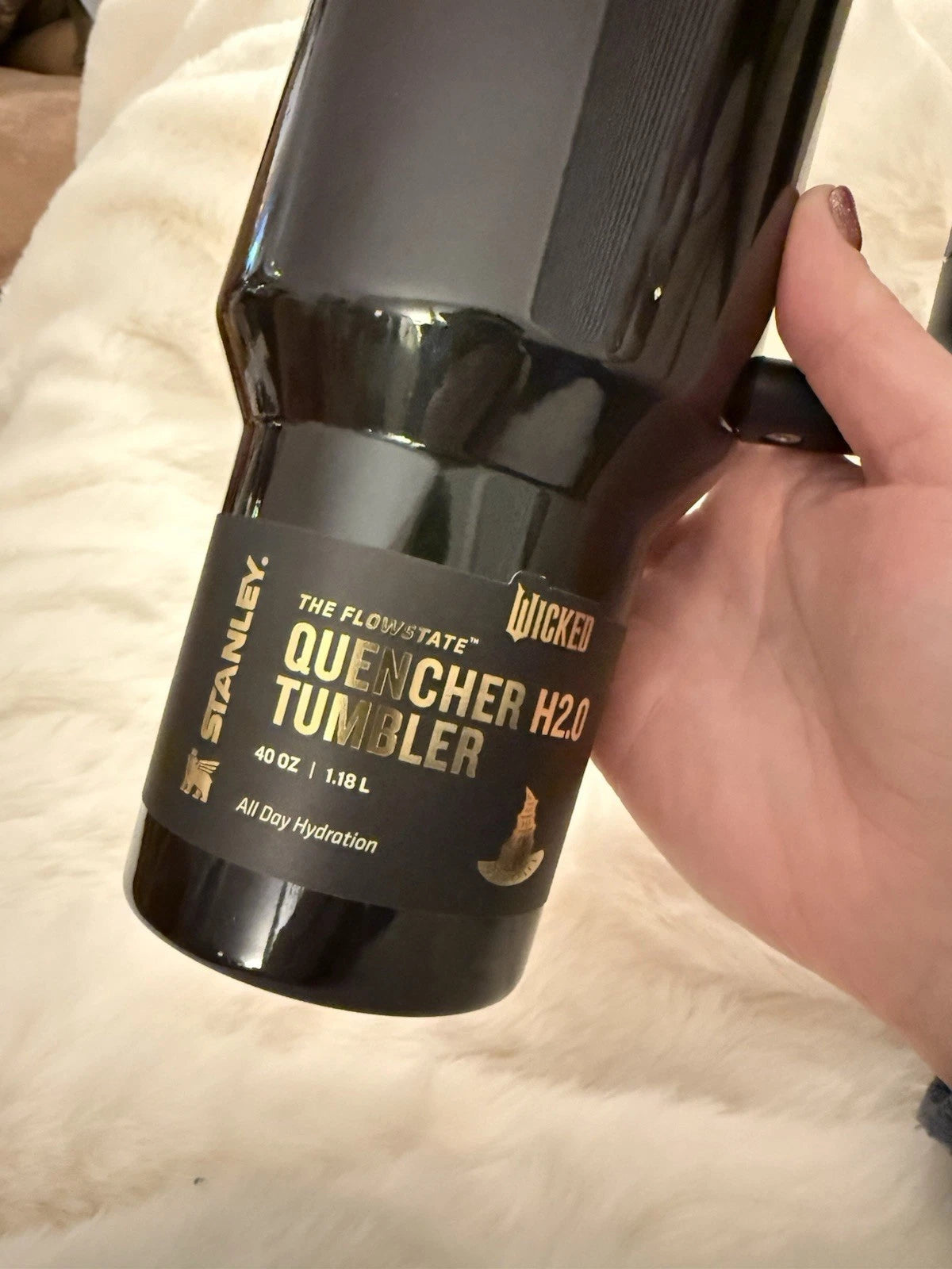 Stanley x Wicked Elphaba 40 oz Quencher H2.0 Tumbler – 2025 Limited Edition